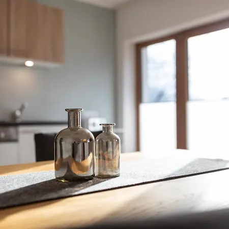 公寓 豪斯安姆斯坦酒店 *